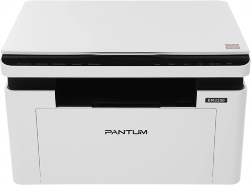 МФУ лазерный Pantum BM2300 A4 белый BM2300