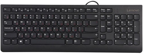 Клавиатура Lenovo 300 черный USB для ноутбука (GX30M39684) кабель 1.8м GX30M39684