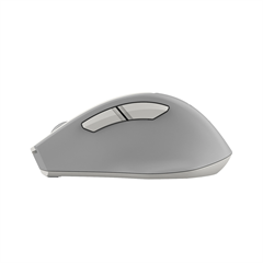 Мышь A4Tech Fstyler FG30 белый/серый оптическая 2000dpi беспров. USB 6but (FG30 WHITE) FG30 WHITE