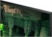 Монитор Samsung 25" Odyssey G4 S25BG400EI черный IPS LED 16:9 HDMI полуматовая HAS Piv 400cd 178гр/1 LS25BG400EIXCI