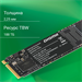 Накопитель SSD Digma PCIe 3.0 x4 256GB DGSM3256GM23T Mega M2 M.2 2280 DGSM3256GM23T