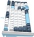 Клавиатура A4Tech FS300 механическая белый/синий USB for gamer LED (FS300 PANDA SNOWBOARDING) кабель FS300 PANDA SNOWBOARDING