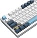 Клавиатура A4Tech FS300 механическая белый/синий USB for gamer LED (FS300 PANDA SNOWBOARDING) кабель FS300 PANDA SNOWBOARDING