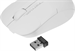 Мышь A4Tech Fstyler FG15CS Air2 белый оптическая 1200dpi silent беспров. USB для ноутбука 3but FG15CS AIR2-1