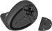 Мышь Logitech Lift графитовый оптическая 4000dpi silent беспров. BT/Radio USB для ноутбука 5but (910 910-006485