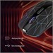 Мышь Оклик 976GW черный оптическая 3200dpi беспров. USB 6but (1431703) 1431703