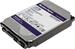 Жесткий диск WD SATA-III 10TB WD101PURP Surveillance Purple Pro (7200rpm) 256Mb 3.5" WD101PURP