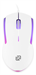 Мышь Оклик 245M белый оптическая 1000dpi USB 3but (471480) 471480